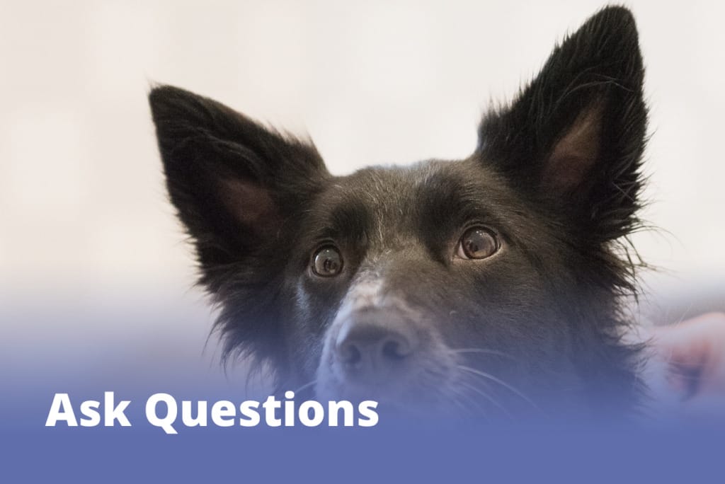 Course Sales L3 community Ask questions
