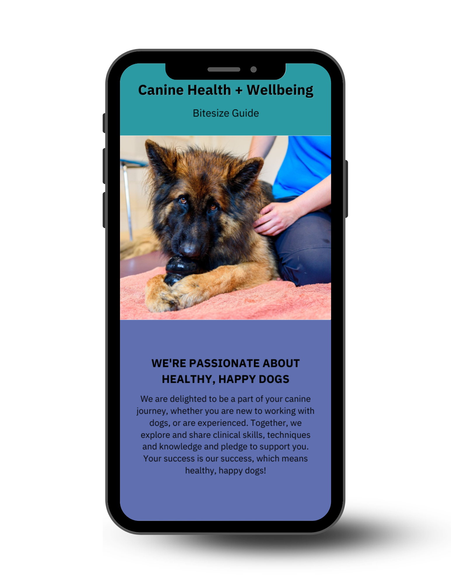 K9HS Canine Health + Wellbeing Bitesize Guide TY K9HS Courses