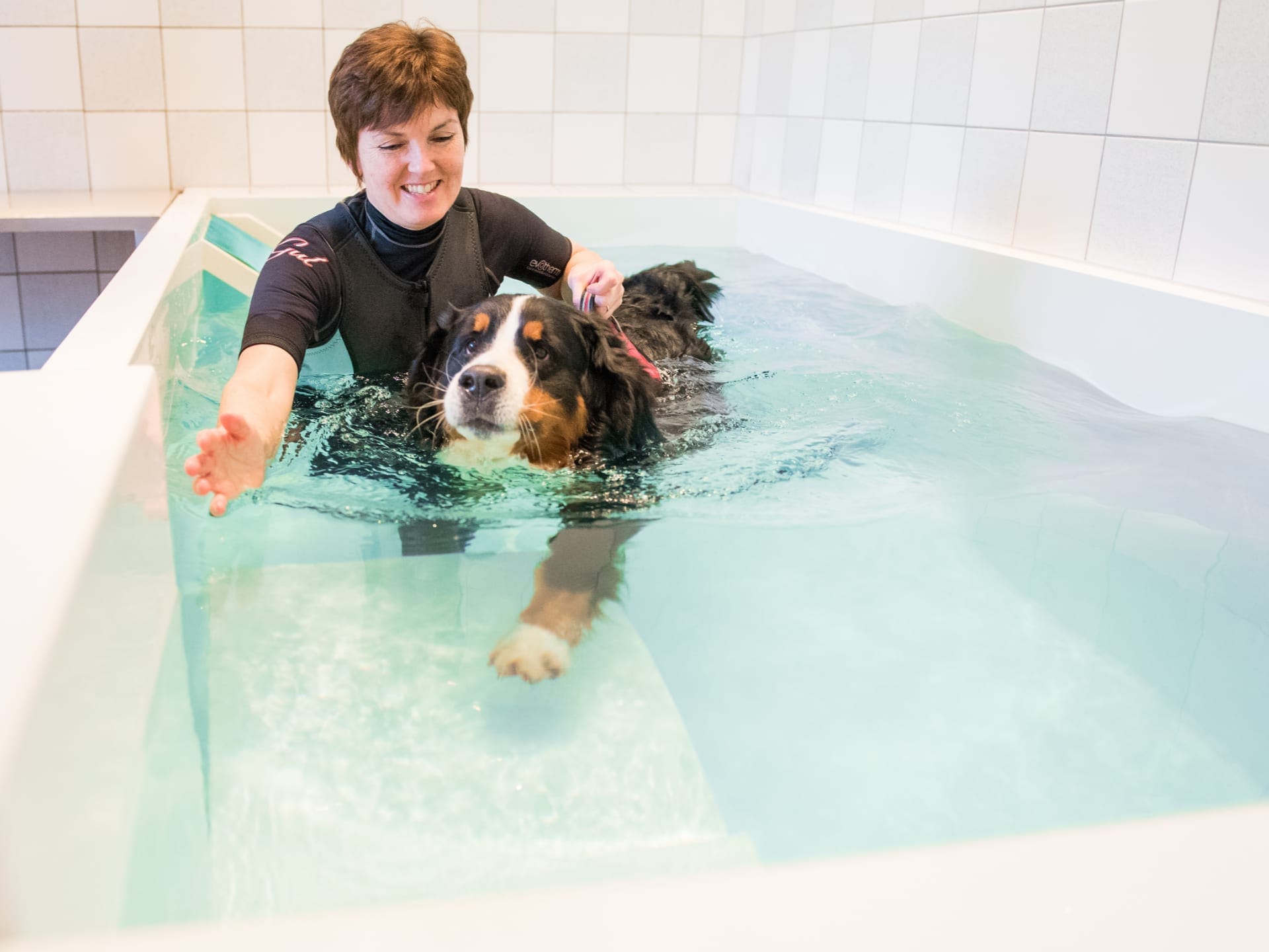A clinical hydrotherapy session with a dog in a therapy pool being led by Barbara Houlding.
