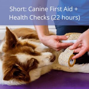 K9 Hub Short 1 Bitesize: Canine Fascia