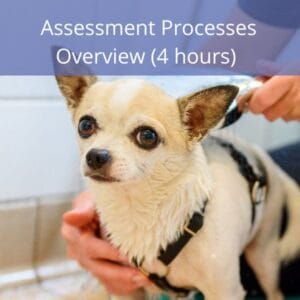 Assessment Processes Overview Assessment Processes