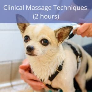 Clinical Massage Techniques Clinical Massage Techniques