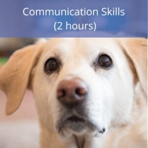 Communication Skills Clinical Reflection for Therapists