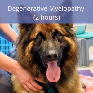 Degenerative Myelopathy Degenerative Myelopathy