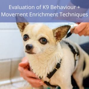 Evaluation of K9 Behaviour + Movement Enrichment Techniques Evlauation of K9 Behaviour and MET