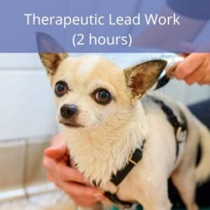 Therapeutic Lead Work Therapeutic Lead Work