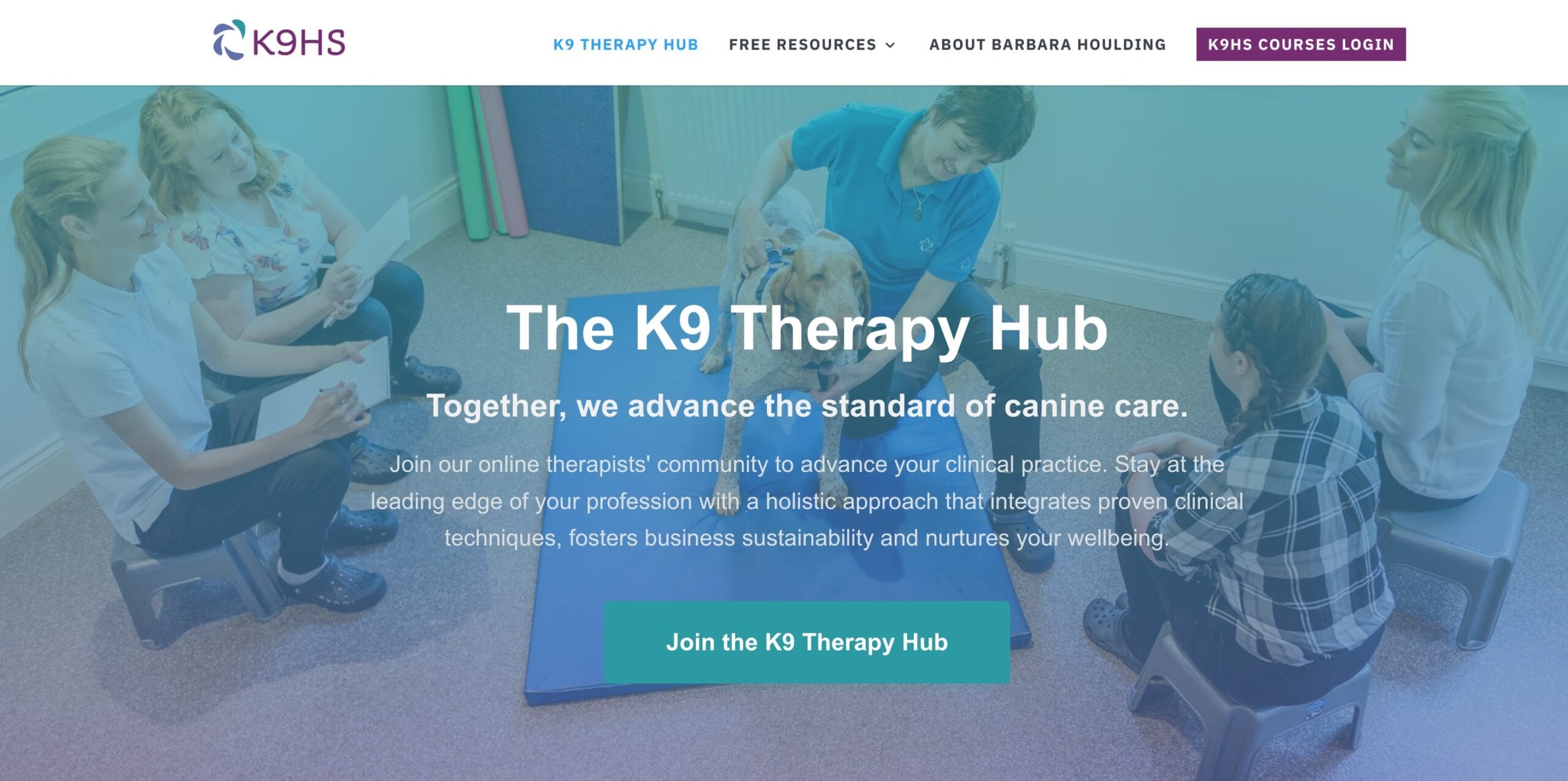 K9 Therapy Hub