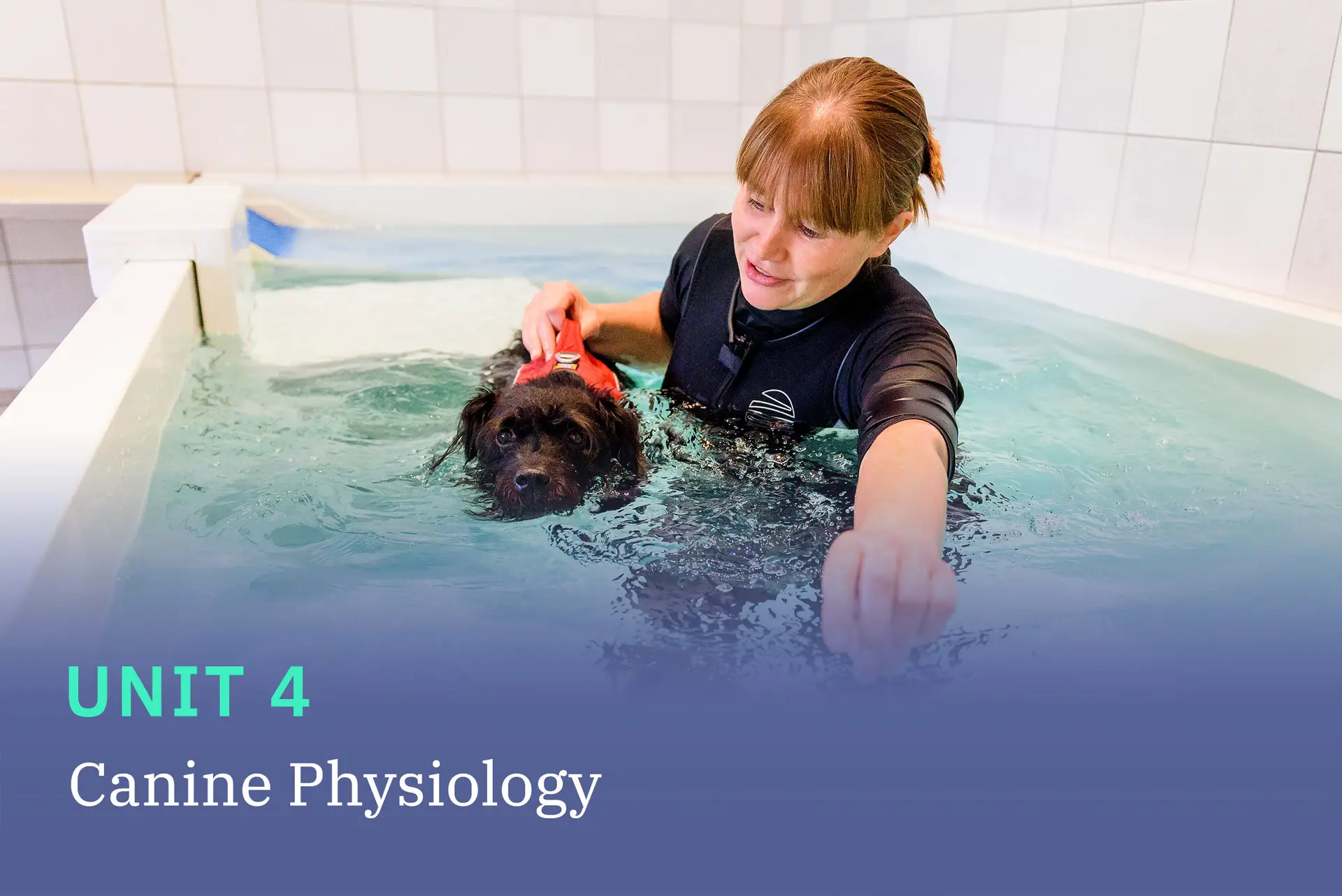 Unitcovers 4-physiology_(1)