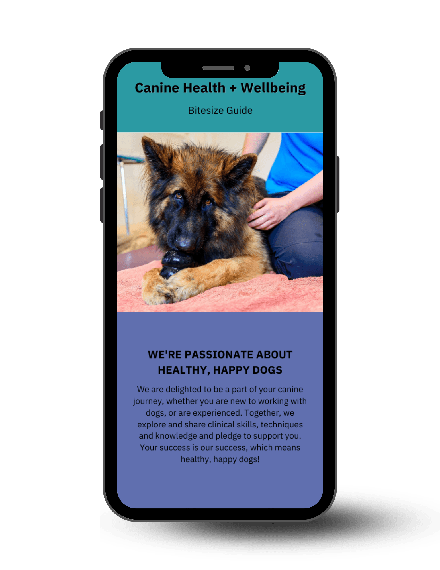 Canine Health + Wellbeing Bitesize Guide